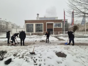 [Aggregator] Downloaded image for imported item #125925