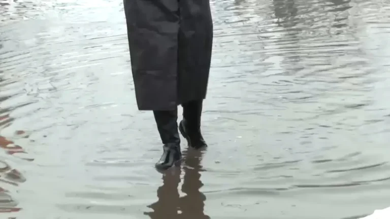 [Aggregator] Downloaded image for imported item #125983