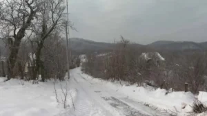 [Aggregator] Downloaded image for imported item #132675