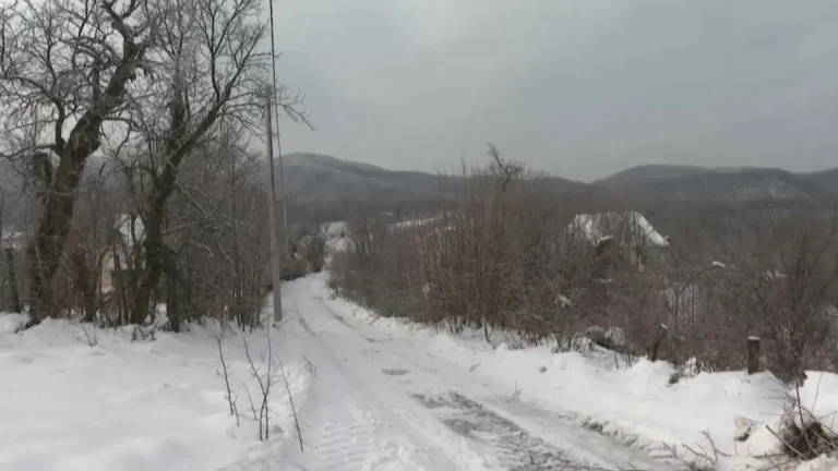 [Aggregator] Downloaded image for imported item #132675