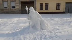 [Aggregator] Downloaded image for imported item #126252