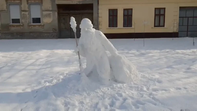 [Aggregator] Downloaded image for imported item #126252