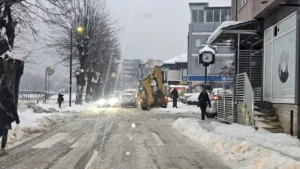 [Aggregator] Downloaded image for imported item #126171