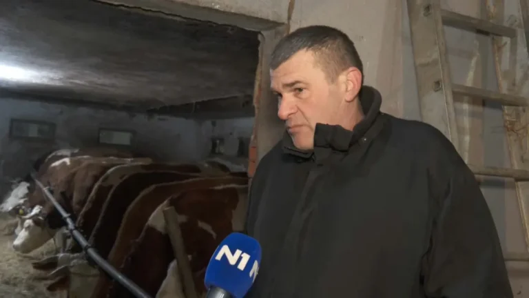 [Aggregator] Downloaded image for imported item #126537