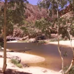 [Aggregator] Downloaded image for imported item #127608