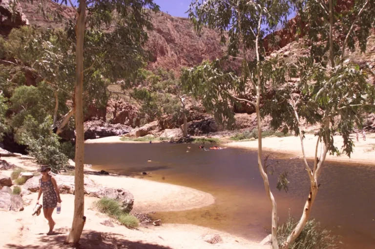 [Aggregator] Downloaded image for imported item #127608