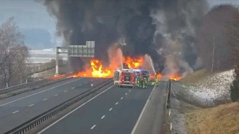 [Aggregator] Downloaded image for imported item #127296