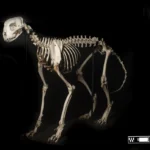 [Aggregator] Downloaded image for imported item #128381