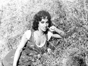 [Aggregator] Downloaded image for imported item #127925