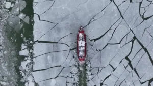 [Aggregator] Downloaded image for imported item #127904