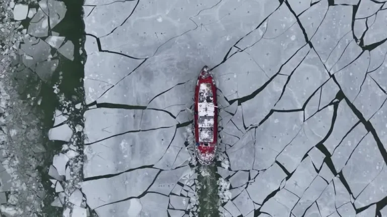 [Aggregator] Downloaded image for imported item #127904