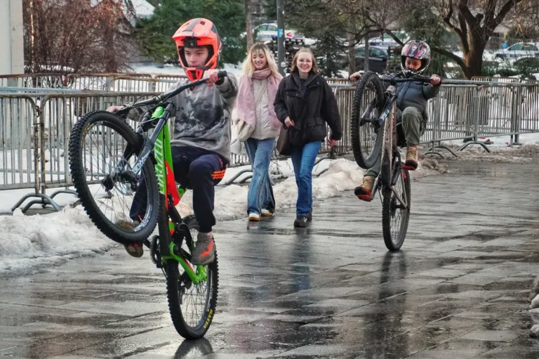 [Aggregator] Downloaded image for imported item #128142