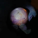 [Aggregator] Downloaded image for imported item #128384