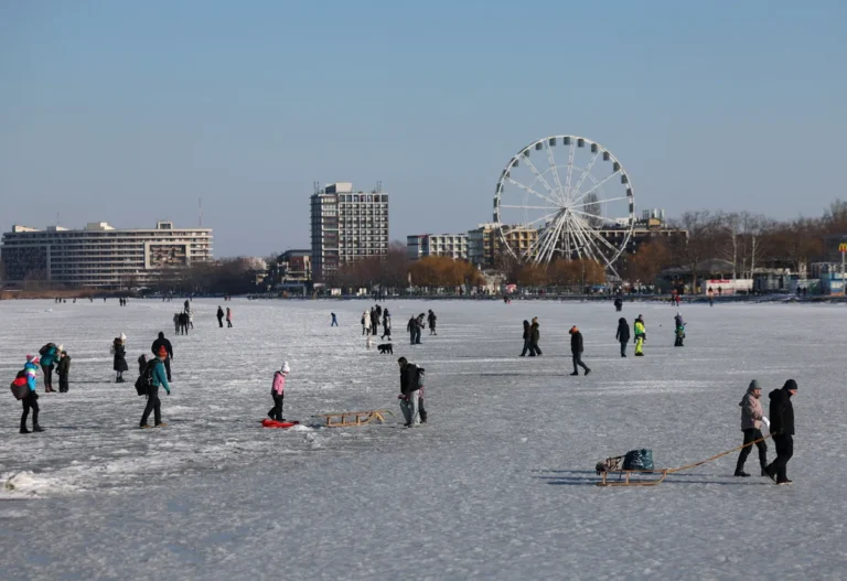 [Aggregator] Downloaded image for imported item #128397