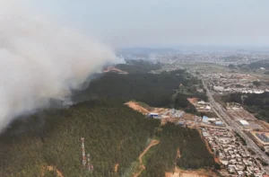 [Aggregator] Downloaded image for imported item #128672