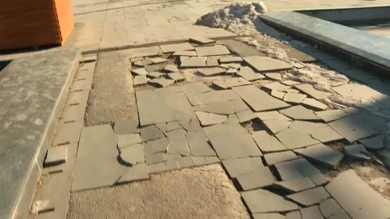 [Aggregator] Downloaded image for imported item #128877