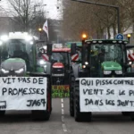 [Aggregator] Downloaded image for imported item #129021