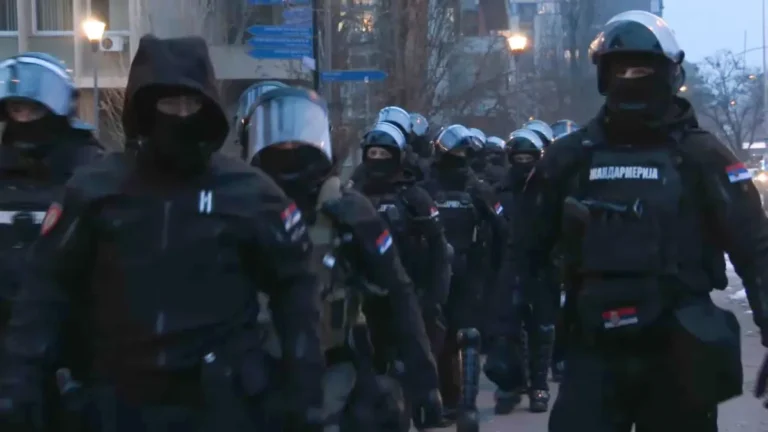 [Aggregator] Downloaded image for imported item #129425