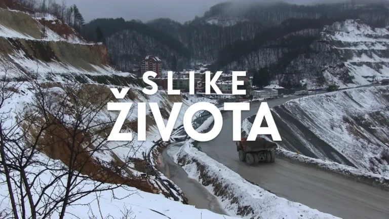 [Aggregator] Downloaded image for imported item #129823