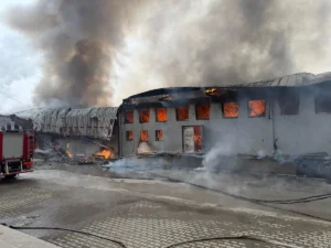 [Aggregator] Downloaded image for imported item #130275