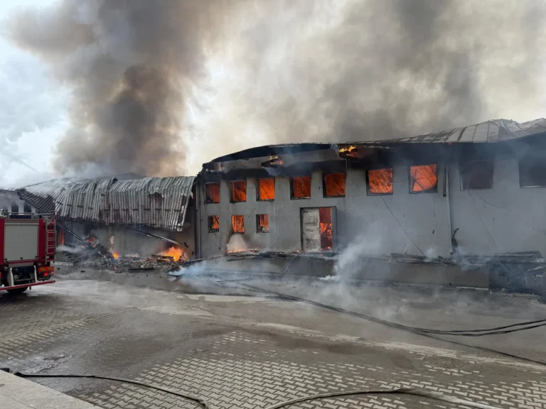 [Aggregator] Downloaded image for imported item #130275