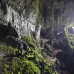 [Aggregator] Downloaded image for imported item #130939