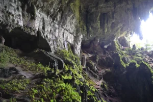 [Aggregator] Downloaded image for imported item #130939