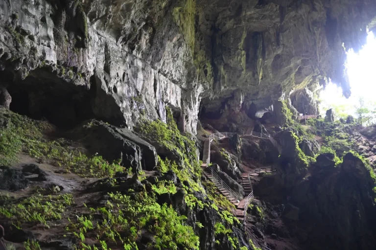 [Aggregator] Downloaded image for imported item #130939