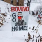 [Aggregator] Downloaded image for imported item #131276