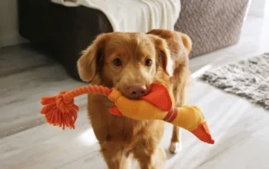 [Aggregator] Downloaded image for imported item #132623