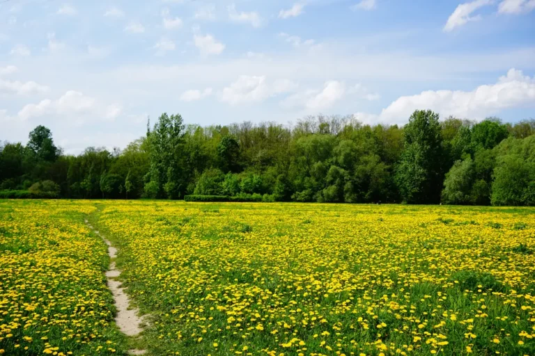 [Aggregator] Downloaded image for imported item #131964