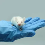 [Aggregator] Downloaded image for imported item #131960