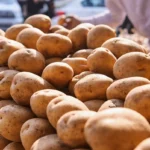 [Aggregator] Downloaded image for imported item #132189