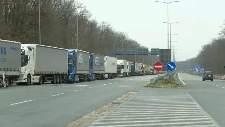 [Aggregator] Downloaded image for imported item #132172