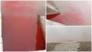 [Aggregator] Downloaded image for imported item #132471