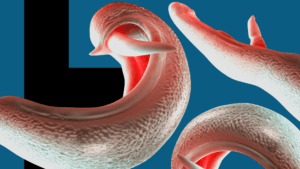 [Aggregator] Downloaded image for imported item #132555