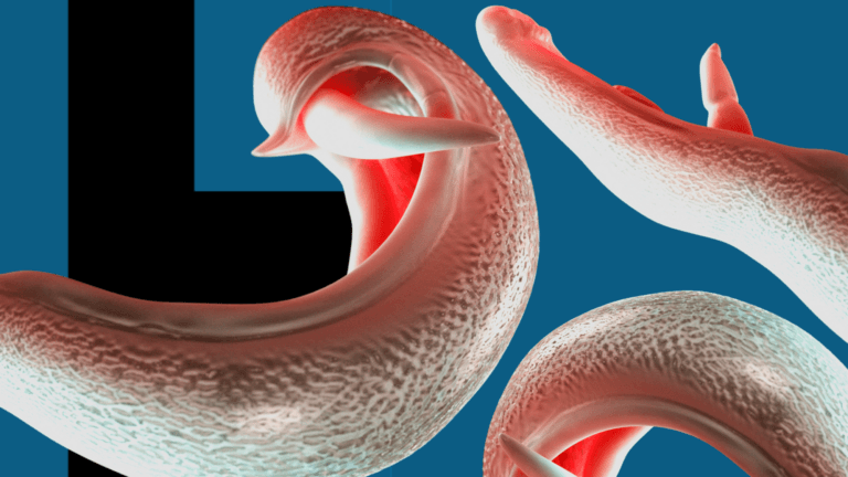 [Aggregator] Downloaded image for imported item #132555