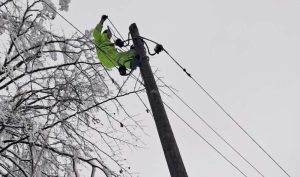 [Aggregator] Downloaded image for imported item #125765