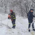 [Aggregator] Downloaded image for imported item #126112