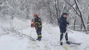 [Aggregator] Downloaded image for imported item #126112