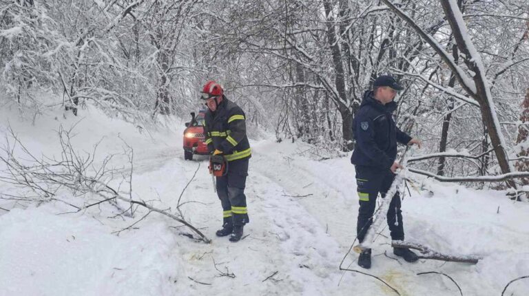 [Aggregator] Downloaded image for imported item #126112