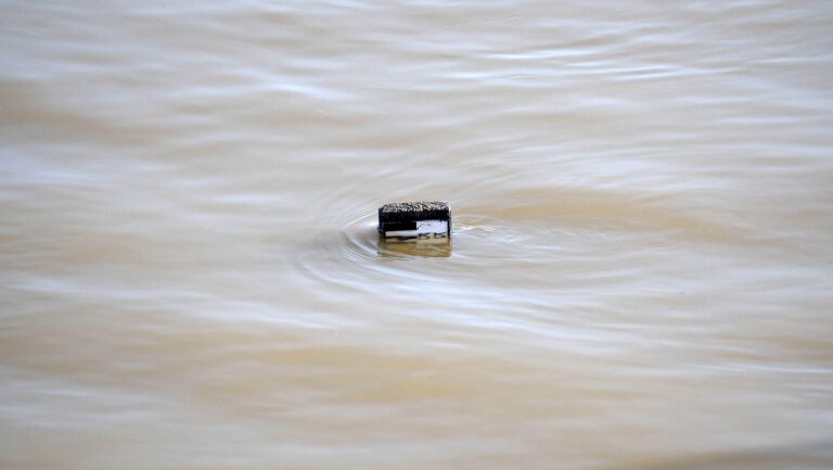 [Aggregator] Downloaded image for imported item #125781