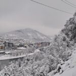 [Aggregator] Downloaded image for imported item #124761