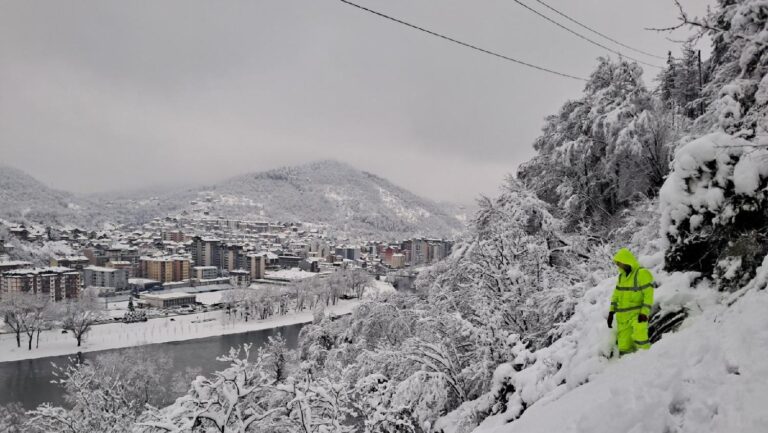 [Aggregator] Downloaded image for imported item #124761