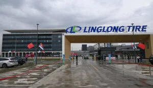 [Aggregator] Downloaded image for imported item #131462