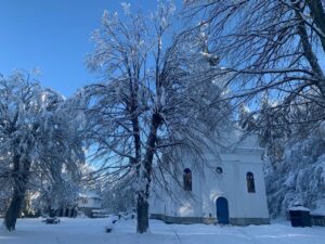 [Aggregator] Downloaded image for imported item #125812