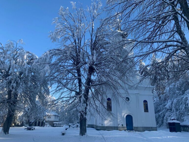 [Aggregator] Downloaded image for imported item #125133