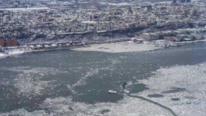 [Aggregator] Downloaded image for imported item #131214