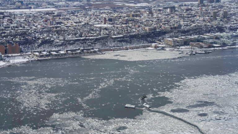 [Aggregator] Downloaded image for imported item #131214