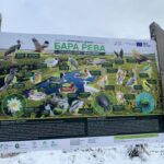 [Aggregator] Downloaded image for imported item #126564